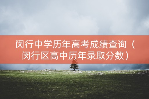 闵行中学历年高考成绩查询（闵行区高中历年录取分数）