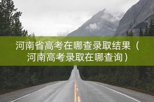 河南省高考在哪查录取结果（河南高考录取在哪查询）