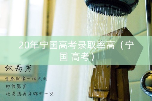 20年宁国高考录取率高（宁国 高考）