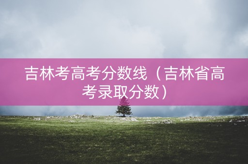 吉林考高考分数线（吉林省高考录取分数）