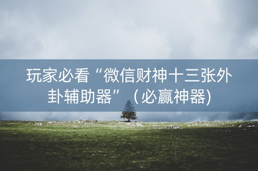 玩家必看“微信财神十三张外卦辅助器”（必赢神器)