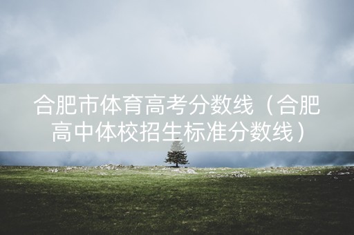 合肥市体育高考分数线（合肥高中体校招生标准分数线）