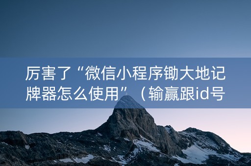 厉害了“微信小程序锄大地记牌器怎么使用”（输赢跟id号有关系吗)