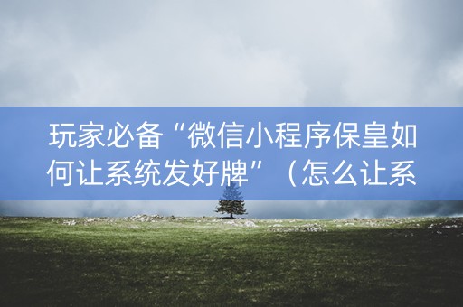 玩家必备“微信小程序保皇如何让系统发好牌”（怎么让系统给自己好牌)
