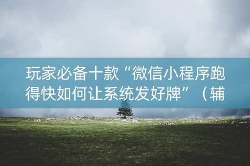 玩家必备十款“微信小程序跑得快如何让系统发好牌”（辅助器下载)