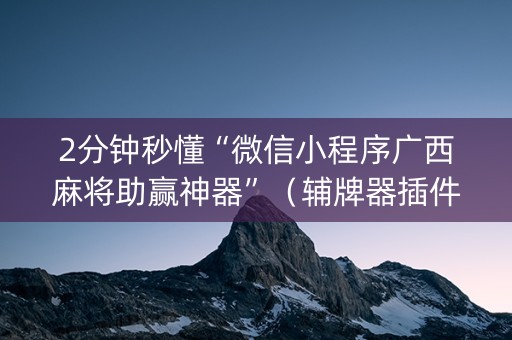 2分钟秒懂“微信小程序广西麻将助赢神器”（辅牌器插件购买)