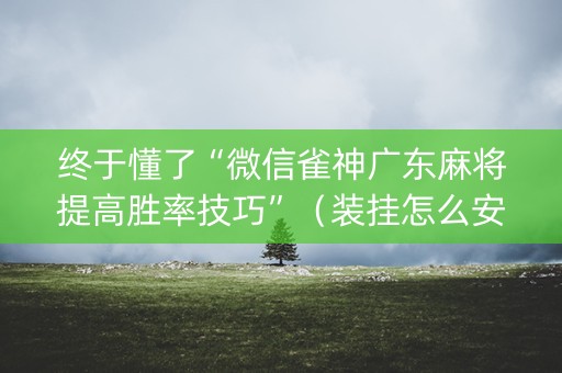 终于懂了“微信雀神广东麻将提高胜率技巧”（装挂怎么安装)