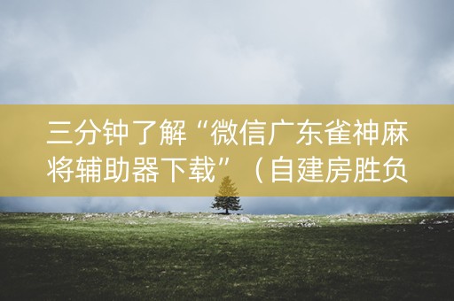 三分钟了解“微信广东雀神麻将辅助器下载”（自建房胜负规律)