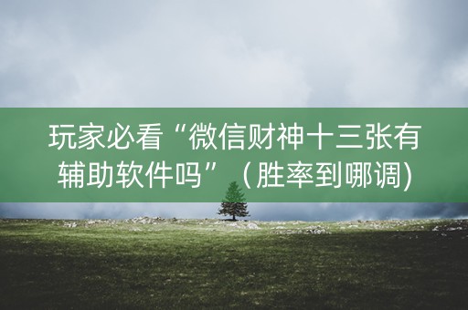 玩家必看“微信财神十三张有辅助软件吗”（胜率到哪调)