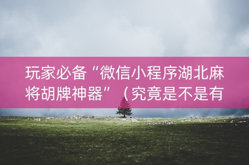 玩家必备“微信小程序湖北麻将胡牌神器”（究竟是不是有挂)
