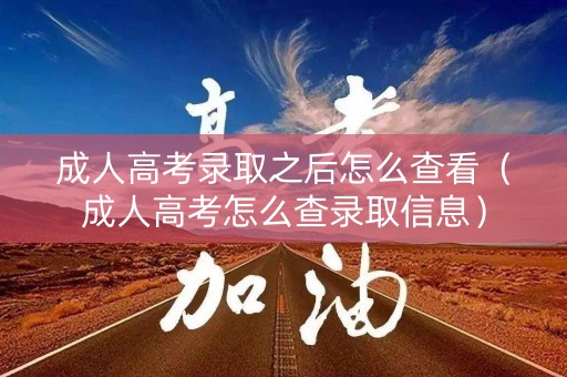 成人高考录取之后怎么查看（成人高考怎么查录取信息）