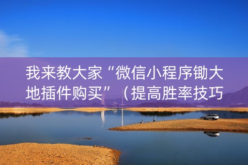 我来教大家“微信小程序锄大地插件购买”（提高胜率技巧)