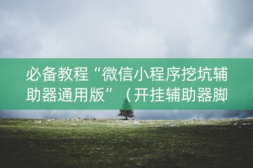 必备教程“微信小程序挖坑辅助器通用版”（开挂辅助器脚本)
