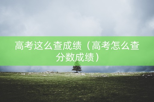 高考这么查成绩（高考怎么查分数成绩）