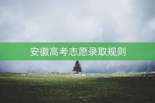 安徽高考志愿录取规则
