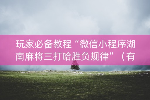 玩家必备教程“微信小程序湖南麻将三打哈胜负规律”（有没有猫腻)