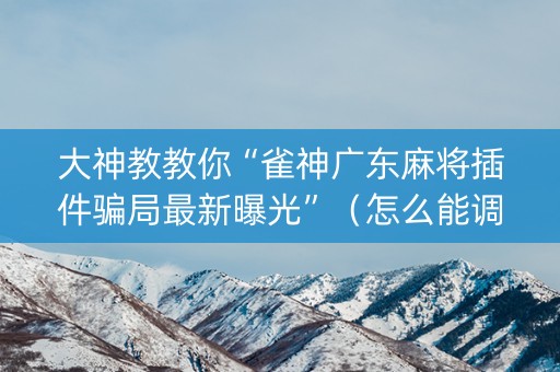大神教教你“雀神广东麻将插件骗局最新曝光”（怎么能调好牌)