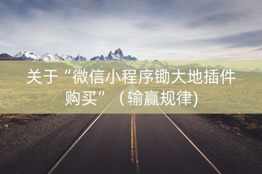 关于“微信小程序锄大地插件购买”（输赢规律)