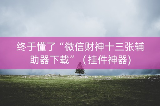 终于懂了“微信财神十三张辅助器下载”（挂件神器)