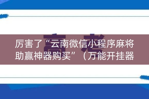 厉害了“云南微信小程序麻将助赢神器购买”（万能开挂器)