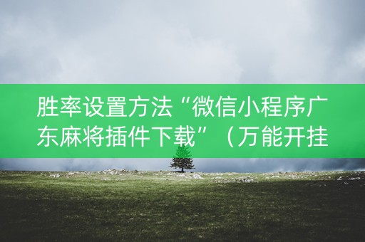 胜率设置方法“微信小程序广东麻将插件下载”（万能开挂器)