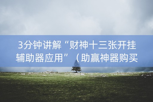 3分钟讲解“财神十三张开挂辅助器应用”（助赢神器购买)