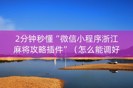 2分钟秒懂“微信小程序浙江麻将攻略插件”（怎么能调好牌)