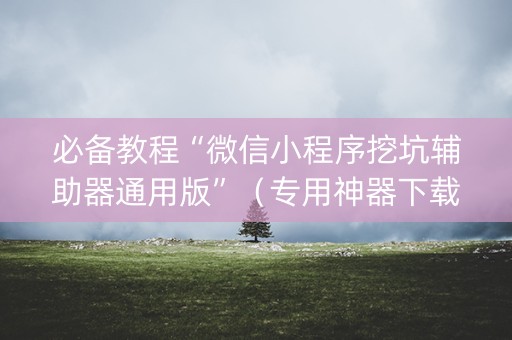 必备教程“微信小程序挖坑辅助器通用版”（专用神器下载)