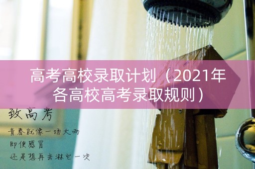 高考高校录取计划（2021年各高校高考录取规则）