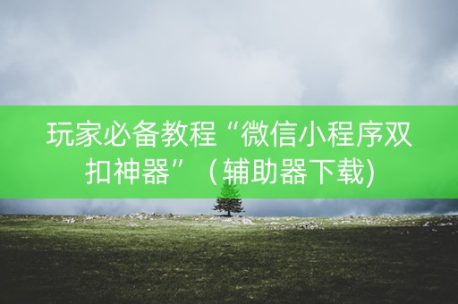玩家必备教程“微信小程序双扣神器”（辅助器下载)