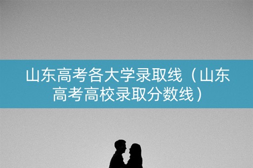 山东高考各大学录取线（山东高考高校录取分数线）