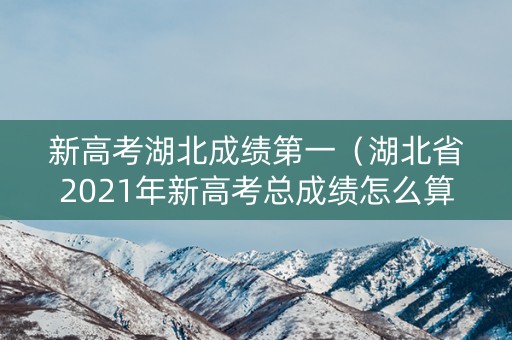 新高考湖北成绩第一（湖北省2021年新高考总成绩怎么算分）