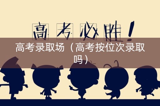 高考录取场（高考按位次录取吗）