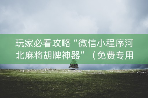 玩家必看攻略“微信小程序河北麻将胡牌神器”（免费专用神器)