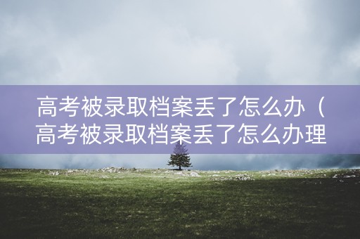 高考被录取档案丢了怎么办（高考被录取档案丢了怎么办理）