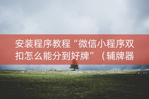 安装程序教程“微信小程序双扣怎么能分到好牌”（辅牌器插件购买)