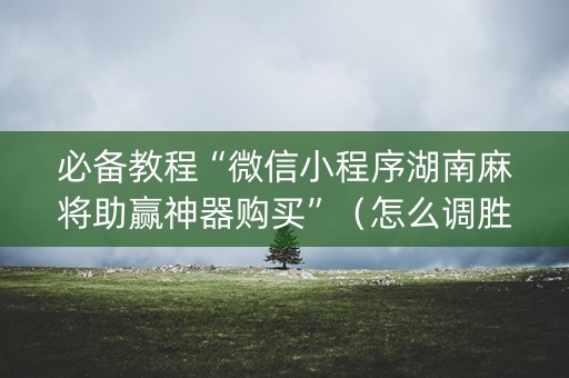 必备教程“微信小程序湖南麻将助赢神器购买”（怎么调胜率)