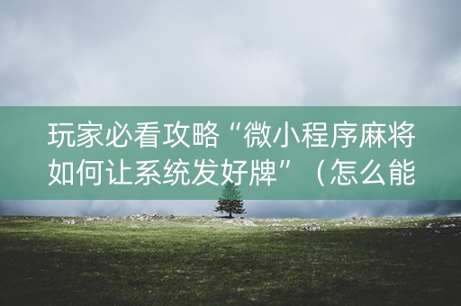 玩家必看攻略“微小程序麻将如何让系统发好牌”（怎么能让牌好一点)