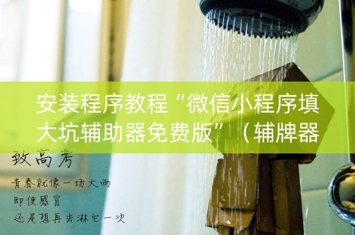 安装程序教程“微信小程序填大坑辅助器免费版”（辅牌器插件购买)