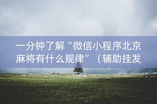 一分钟了解“微信小程序北京麻将有什么规律”（辅助挂发牌规律)