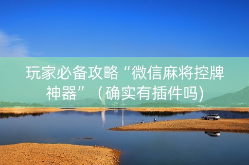 玩家必备攻略“微信麻将控牌神器”（确实有插件吗)