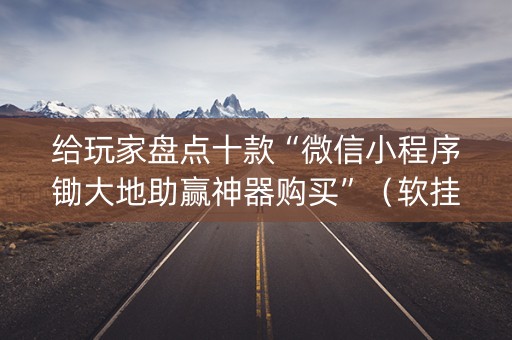 给玩家盘点十款“微信小程序锄大地助赢神器购买”（软挂神器)