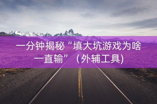 一分钟揭秘“填大坑游戏为啥一直输”（外辅工具)