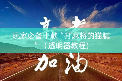玩家必备十款“打麻将的猫腻”（透明器教程)