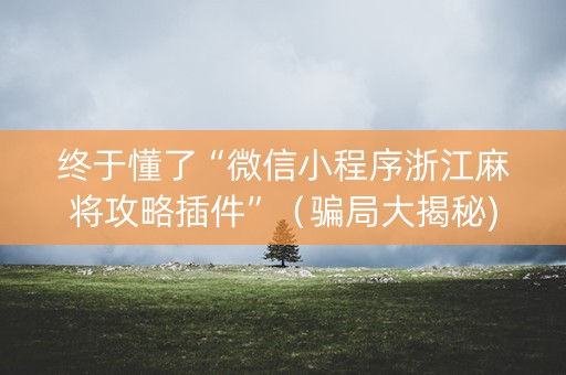 终于懂了“微信小程序浙江麻将攻略插件”（骗局大揭秘)