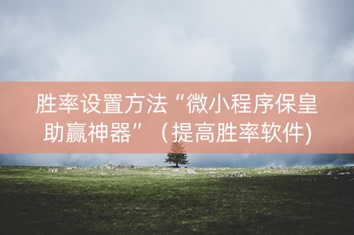 胜率设置方法“微小程序保皇助赢神器”（提高胜率软件)