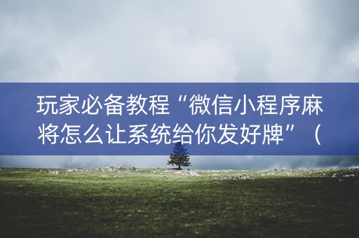 玩家必备教程“微信小程序麻将怎么让系统给你发好牌”（怎么能让牌好一点)