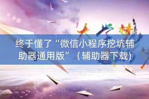 终于懂了“微信小程序挖坑辅助器通用版”（辅助器下载)