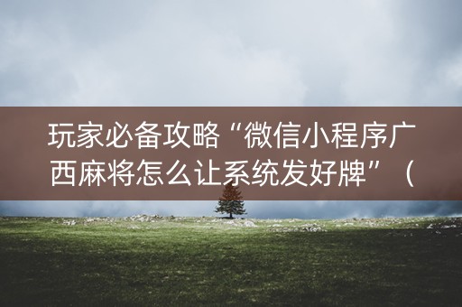 玩家必备攻略“微信小程序广西麻将怎么让系统发好牌”（怎么调胜率)
