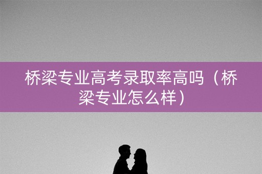 桥梁专业高考录取率高吗（桥梁专业怎么样）